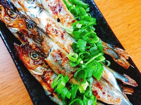 フライパンで焼くししゃものポン酢かけ レシピ 作り方 By じゃが塩 楽天レシピ フライパンで焼くししゃものポン酢かけ レシピ 作り方 By じゃが塩 楽天レシピ